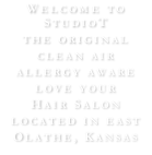 Welcome to StudioT the original clean air  allergy aware love your Hair Salon located in east Olathe, Kansas